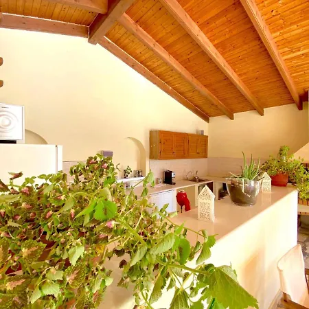 Aria Nissaki With Private Pool Villa *